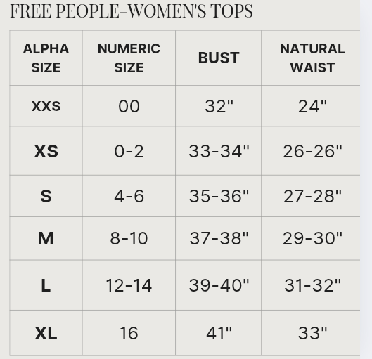 Free People - Mountain View Graphic Tee Top